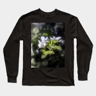 apple blossoms #6 Long Sleeve T-Shirt